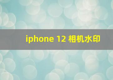 iphone 12 相机水印